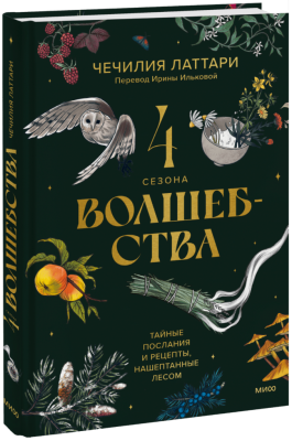 4 сезона волшебства