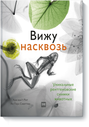 Вижу насквозь