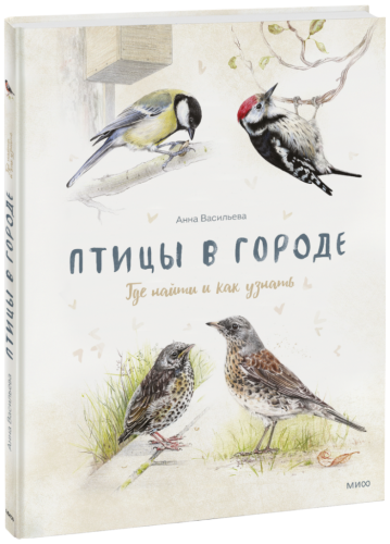 Птицы в городе