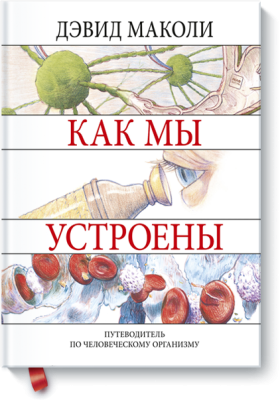 Как мы устроены
