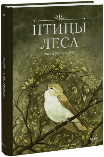 Птицы леса. Артбук