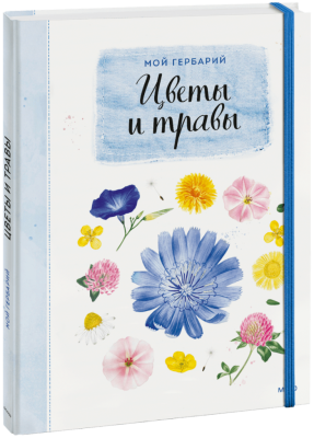 Мой гербарий. Цветы и травы