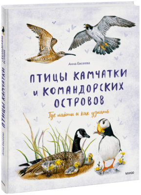 Птицы Камчатки и Командорских островов