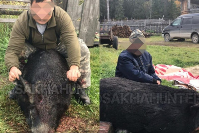 Полицейские разыскали мужчину, застрелившего кабана в Якутии / ЯСИА   Республика Саха (Якутия)