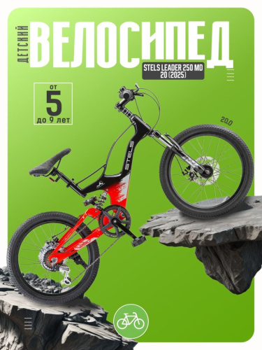 Детский велосипед Stels Leader 250 MD 20, год 2025, цвет Красный-Черный