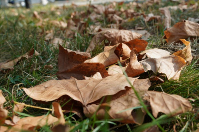 Штормовое предупреждение: сильный ветер с юга /    