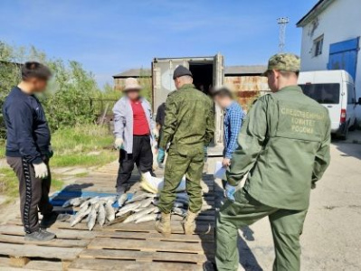 Завершено расследование уголовного дела по обвинению двух мужчин в совершении преступления в сфере экономической деятельности /    