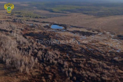 Суд обязал виновника лесного пожара в Нюрбинском районе Якутии выплатить 100 тысяч рублей / ЯСИА   