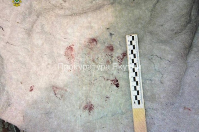 Житель Момского района Якутии выстрелил из охотничьего ружья соседа в голову гражданской жены / ЯСИА   