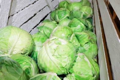 Заготовительная овощная кампания ведется в исправительных учреждениях Якутии / ЯСИА   