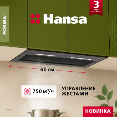 Встраиваемая вытяжка Hansa OMP6502GB