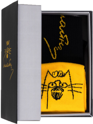 Комплект носков унисекс в боксе, размер 36–45 (2 пары)