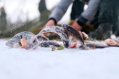 Работники АГиП Якутии приняли участие в мунха в поддержку семей участников СВО / ЯСИА   