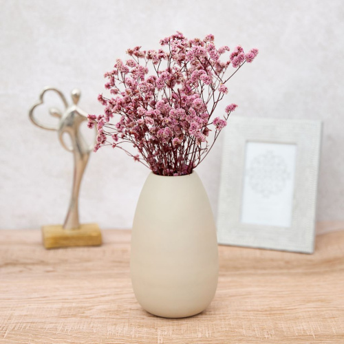 Ваза Ласвикья/Lasvikja