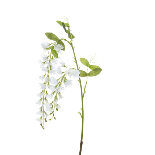 Цветок Остра/Ostra I