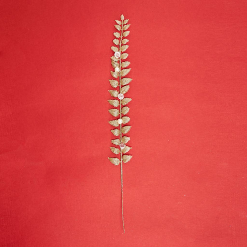 Ветвь Луиджоне/Luigione