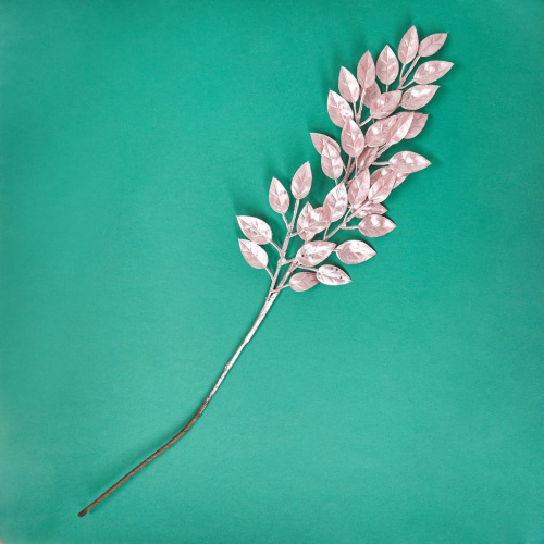 Ветвь Роуэн/Rowan II