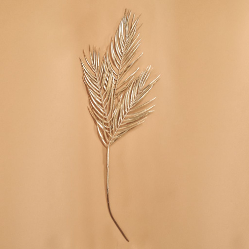 Ветвь Аббатство/Abbazia