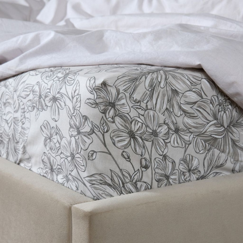 Простыня Тесоруччо III