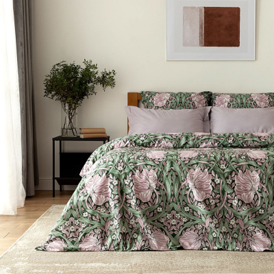 Постельное белье Альбрэ/Albres II