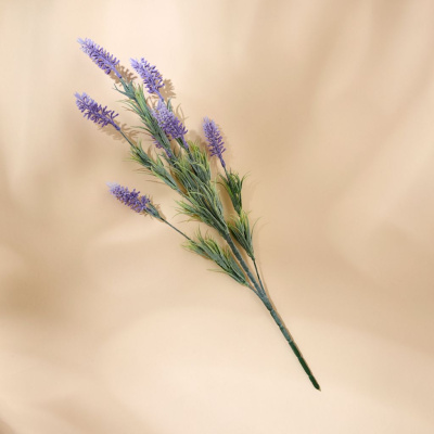 Ветвь Лаванда/Lavander