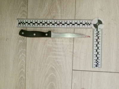 Жительница  города Якутска признана виновной в убийстве знакомого мужчины /    