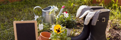 Названа стоимость подготовки к дачному сезону в 2026 году /    