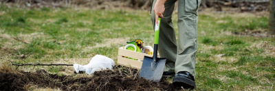 Дачникам дали три года на освоение земельного участка /    