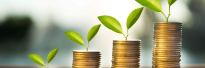 Госдума приняла закон об индексации пенсии работающим пенсионерам /    