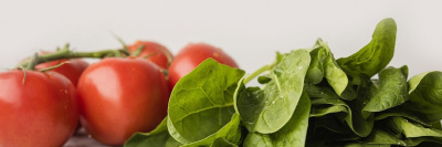 Создана система добровольной сертификации растительной продукции /    