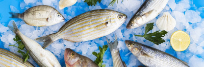 В России стартует Рыбная неделя /    