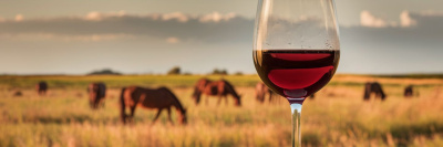 Дни донских вин /    