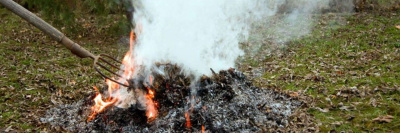 Какой штраф можно получить за борьбу с паразитами на даче /    