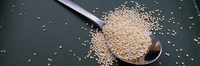 Киноа улучшает микробиоту, а также защищает от болезней сердца /    