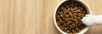 Россельхознадзор ввел запрет на ввоз корма для кошек и собак /    