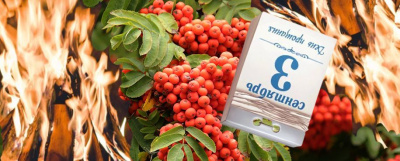 Где можно жечь костры рябин и что делать, если вы одиноки? /    