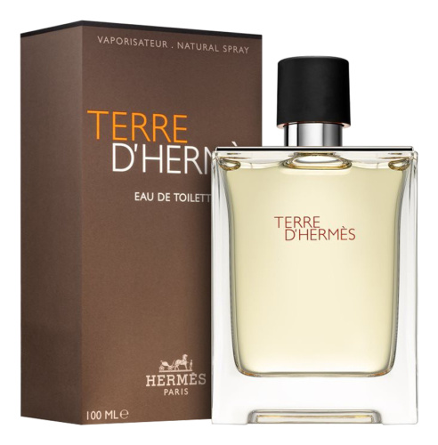 Terre D'Hermes Pour Homme: туалетная вода 100мл