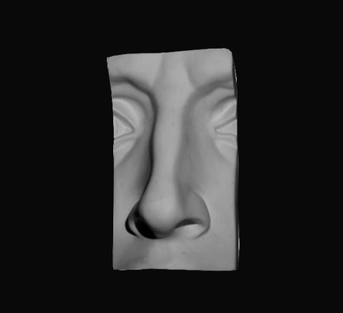 Гипс Нос Давида