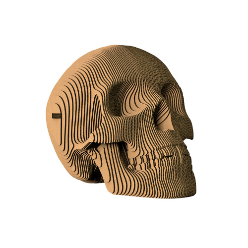 Череп "Роджер"