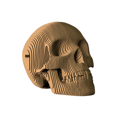 Череп "Роджер"