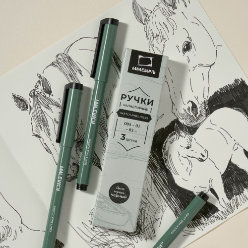 Набор капиллярных ручек линеров Малевичъ, 3 шт (005, 01, 03)