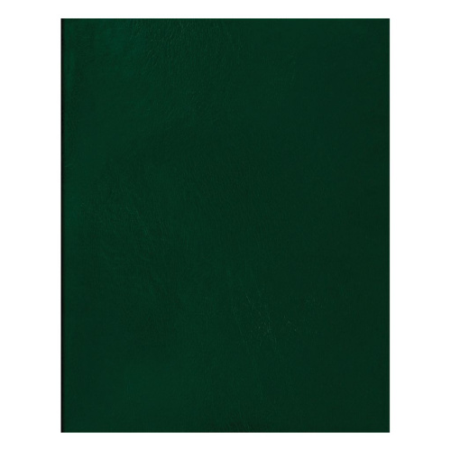 Тетрадь в клетку BG А5 96 л, бумвинил, зеленый