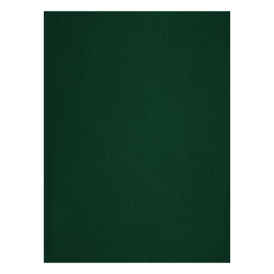 Тетрадь в клетку BG А4 48 л, бумвинил, зеленый