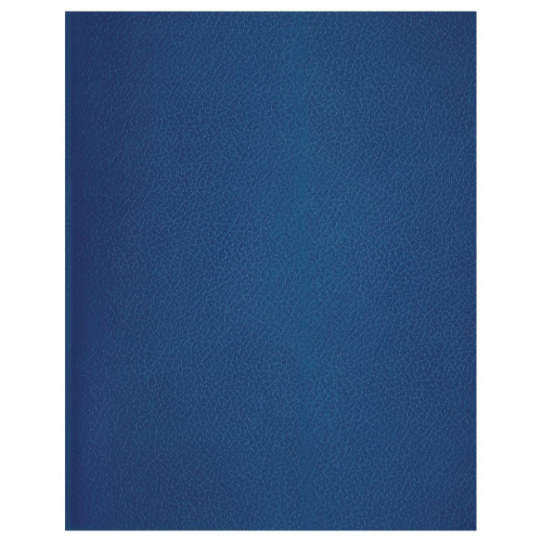 Тетрадь в линейку BG А5 96 л, бумвинил, синий