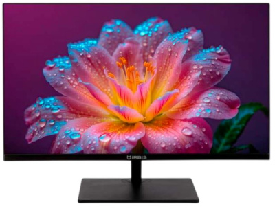 Монитор 23,8" Irbis MirView24 R24FIDS123.100_MIR 1920x1080, LED, 16:9, IPS, 300 cd/m2, 1000:1, 5ms, 178°/178°, VGA, HDMI, DP, USB 3.1*2, Audio, 100Hz,