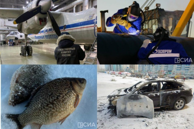 Обзор интересных и популярных новостей в Якутии за 19 ноября / ЯСИА   Республика Саха (Якутия)