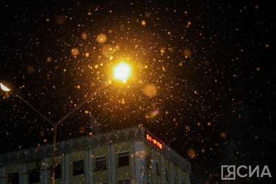 Пока в Якутии была ночь: условия ядерного удара, «мясной клей» в сосисках и одинокий дельфин / ЯСИА   Республика Саха (Якутия)