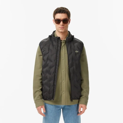 Мужской жилет Lacoste