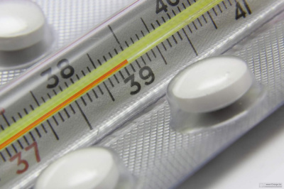 Роспотребнадзор напоминает: как защитить себя от гриппа и ОРВИ /    