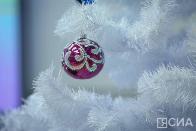 В Якутске объявили конкурс на лучшее новогоднее оформление среди предприятий и организаций / ЯСИА Якутск Якутск Республика Саха (Якутия)